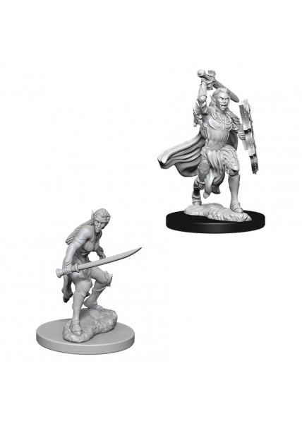 D&D Nolzur's Marvelous Unpainted Miniatures: Female Elf Fighter